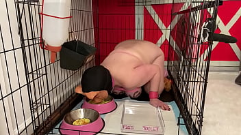 Fuckpig Porn Justafilthycunt Humiliating Degradation Pig Pissing Caged Piss Drinking And Eating From Bowls